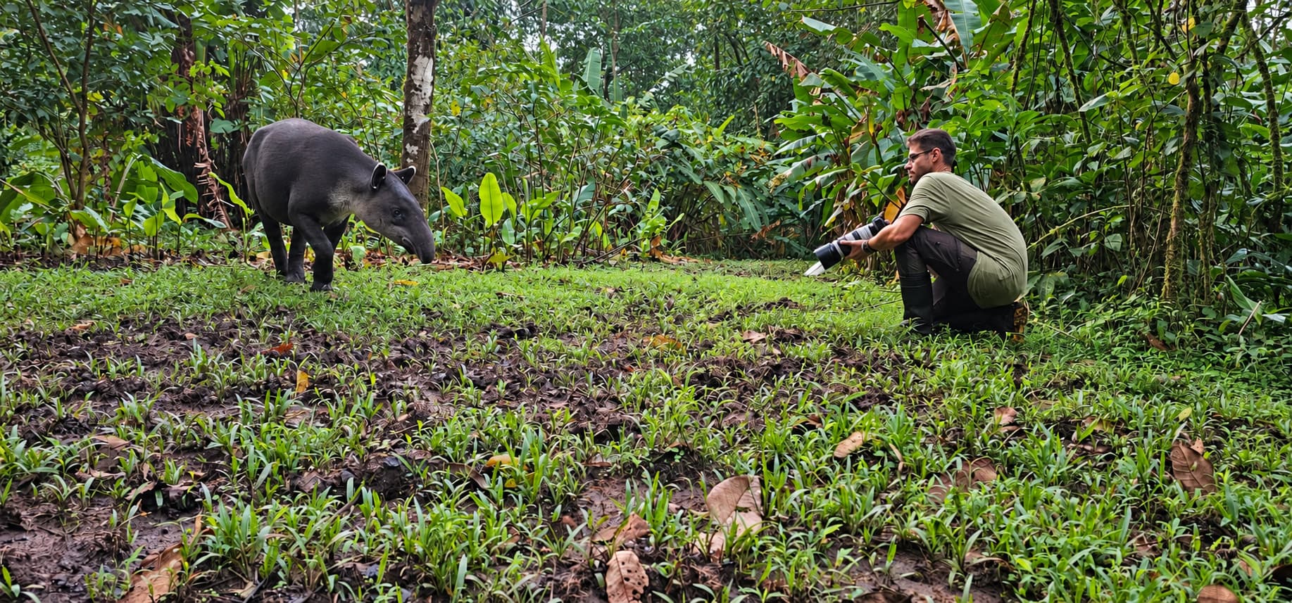 Wildlife photographer Ewan Crosbie crouches in a Costa Rican rainforest clearing, photographing a Baird’s tapir at close range.